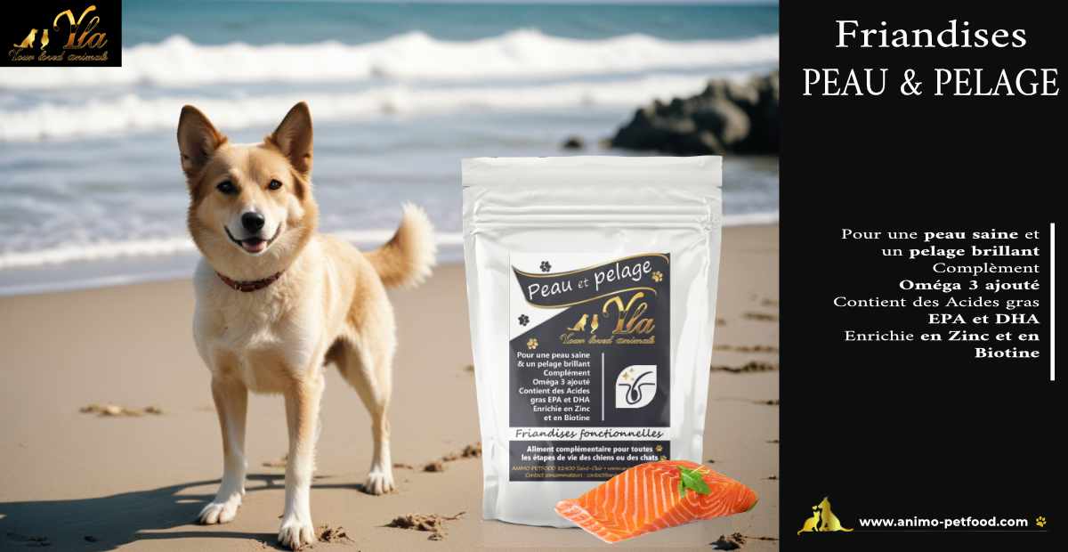 Friandises pour chiens PEAU & PELAGE, pour une peau saine et un pelage brillant, avec Oméga 3 ajouté, acides gras EPA et DHA, enrichie en Zinc et en Biotine